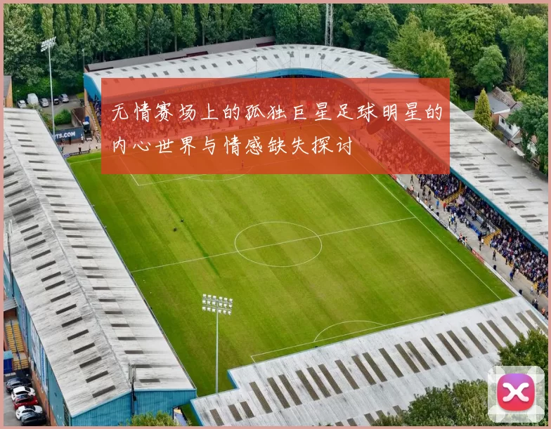 无情赛场上的孤独巨星足球明星的内心世界与情感缺失探讨