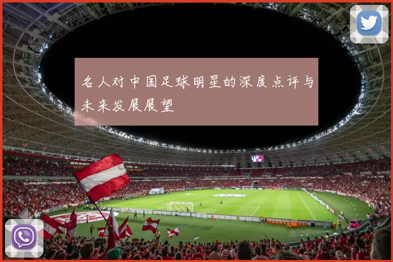 名人对中国足球明星的深度点评与未来发展展望