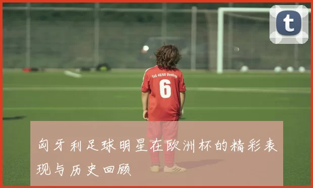 匈牙利足球明星在欧洲杯的精彩表现与历史回顾