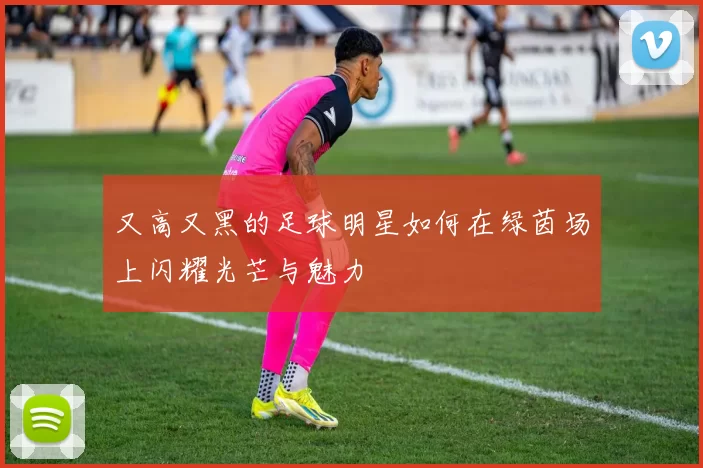 又高又黑的足球明星如何在绿茵场上闪耀光芒与魅力