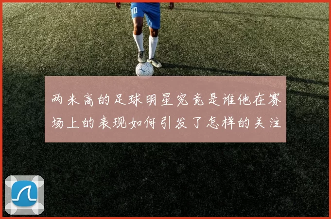 两米高的足球明星究竟是谁他在赛场上的表现如何引发了怎样的关注