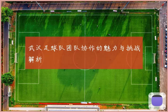 武汉足球队团队协作的魅力与挑战解析