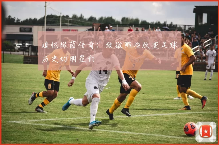 追忆绿茵传奇：致敬那些改变足球历史的明星们