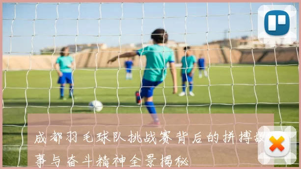 成都羽毛球队挑战赛背后的拼搏故事与奋斗精神全景揭秘