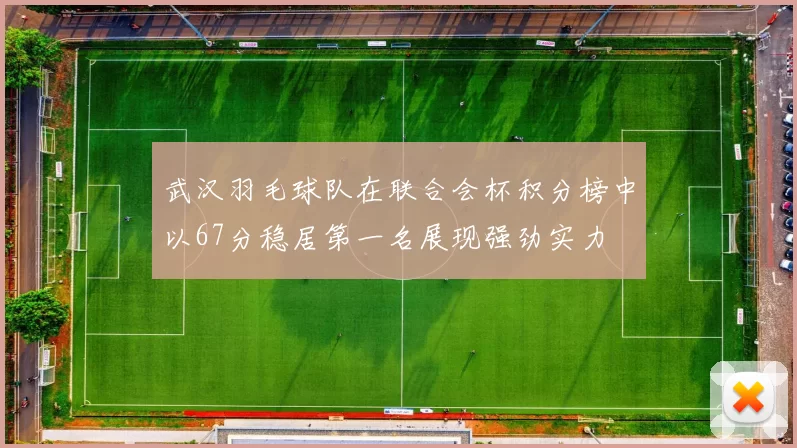 武汉羽毛球队在联合会杯积分榜中以67分稳居第一名展现强劲实力