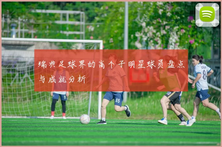 瑞典足球界的高个子明星球员盘点与成就分析